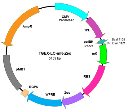 TEGX-LC-mK-Zeo map